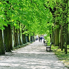 Bydlení v alejích – nový projekt v Říčanech u Prahy