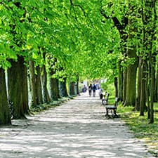 Bydlení v alejích – nový projekt v Říčanech u Prahy